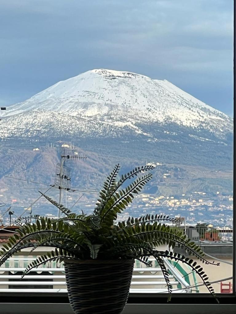 Vesuvio Apartment Неаполь Номер фото